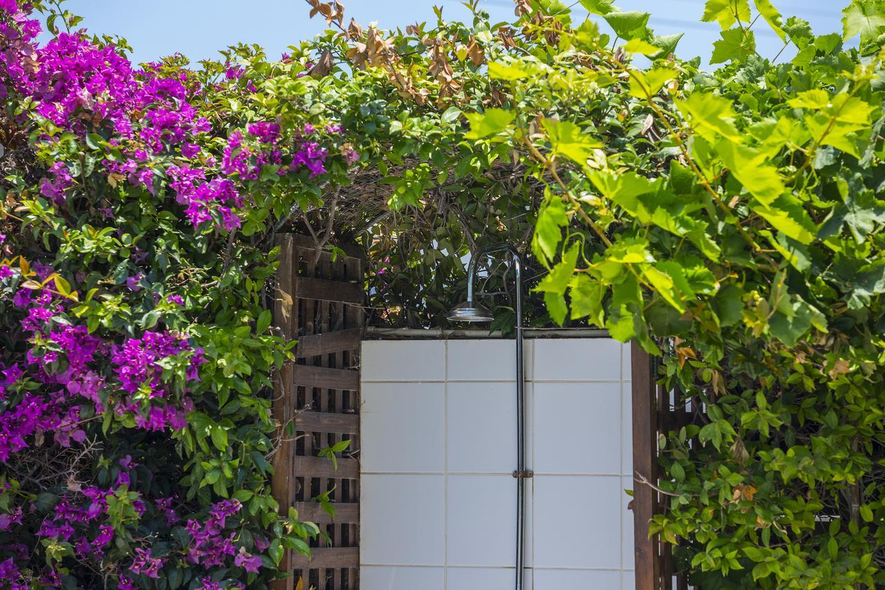 Villa Elias Agia Napa Exterior foto