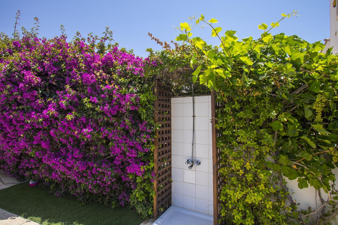 Villa Elias Agia Napa Exterior foto